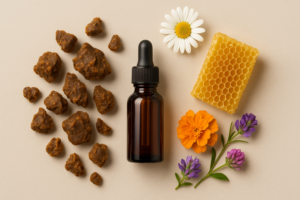 The Hive's Remedy: Unlocking the Healing Power of Bee Propolis
