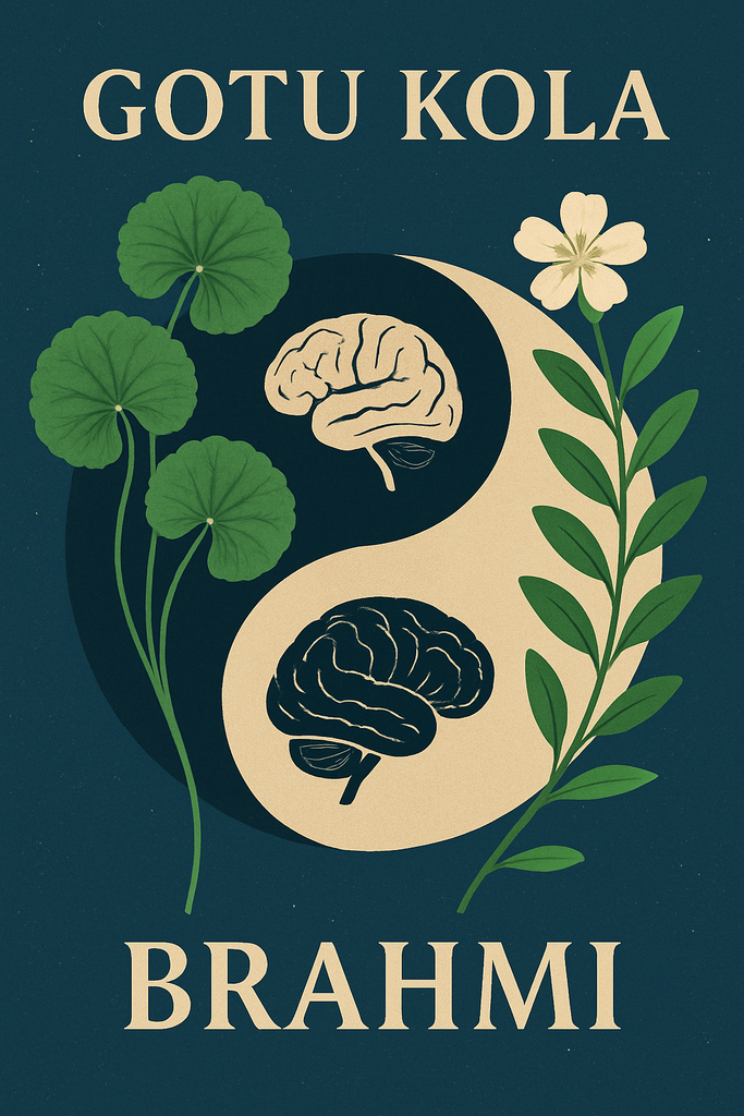The Brain's Yin and Yang: How Gotu Kola and Brahmi Work in Harmony