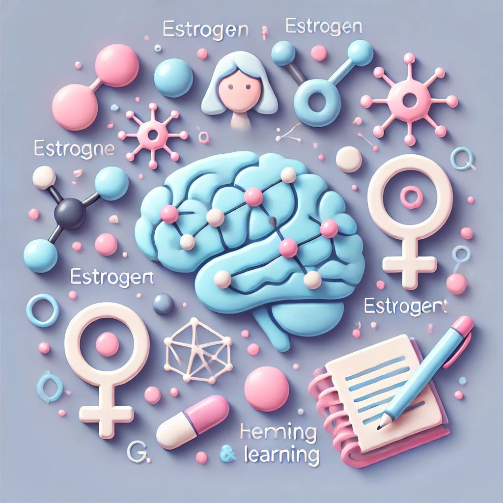 The Estrogen Connection: How Hormones Impact Memory and Learning