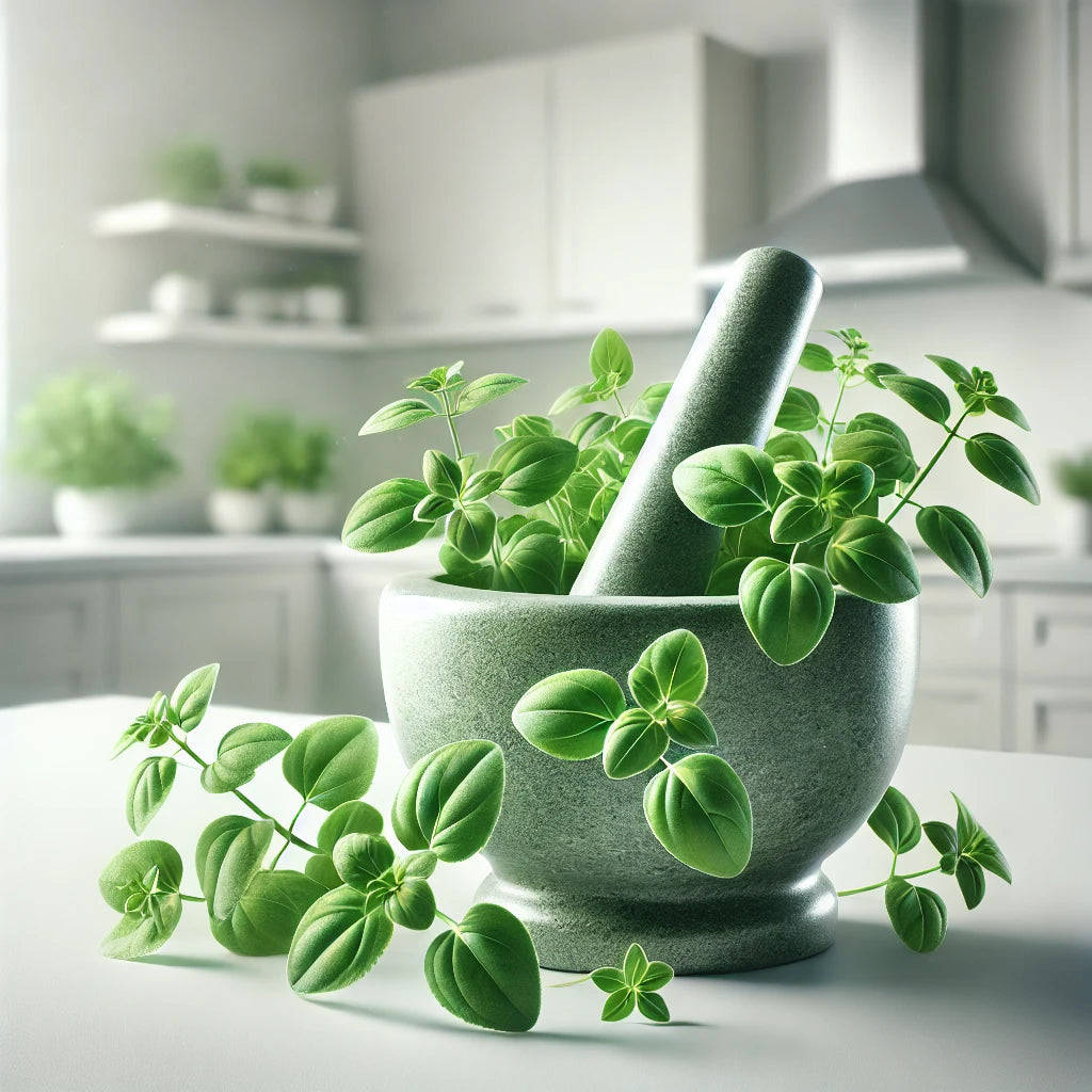 Spice Up Your Gut Health: The Benefits of Oregano