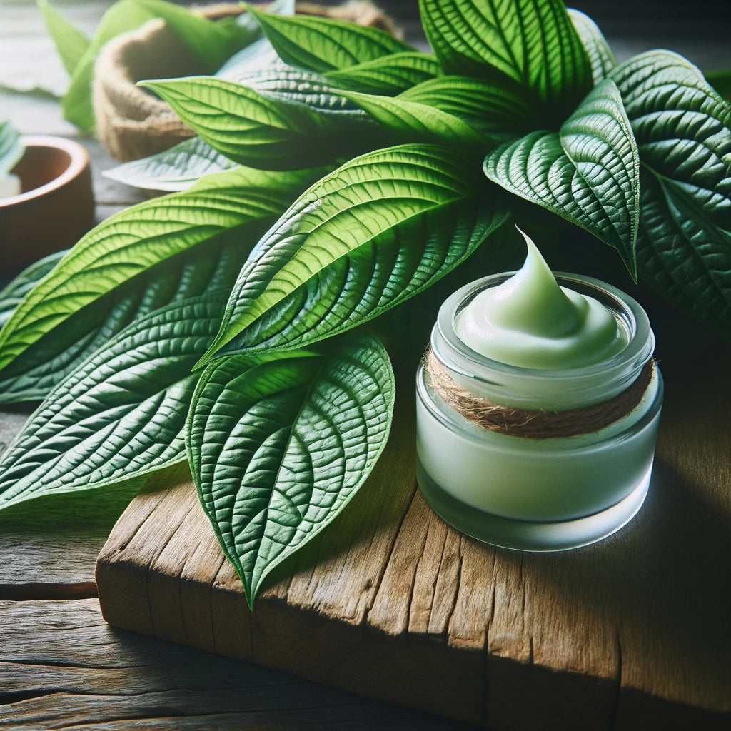 Acapulko for Wound Healing: A Speedy Recovery