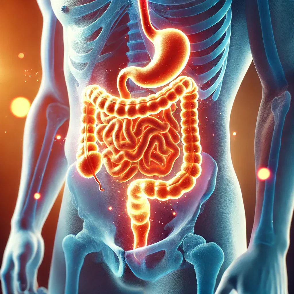 Living with Ulcerative Colitis: Diet, Treatment & Support Strategies