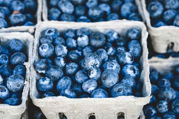 Pterostilbene: The New Super-Food