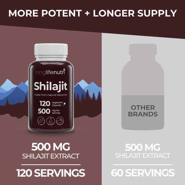 Shilajit 500mg - 120 Vegetarian Capsules
