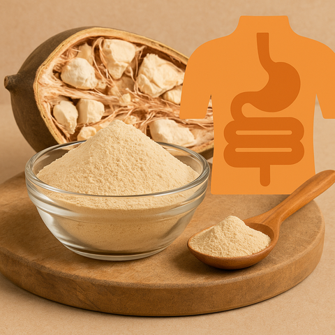 Baobab Fruit Powder: A Natural Prebiotic for Gut Health