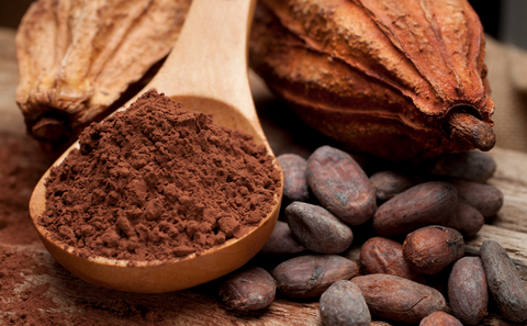 The Rich Heritage of Cocoa: From the Amazon Rainforest to Tables Around the World