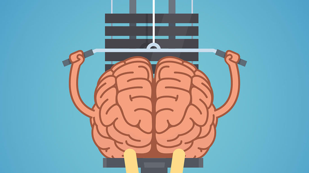 How to Boost Your Brain Power with Alpha GPC