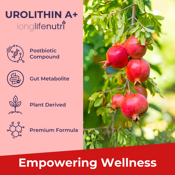 Urolithin A+ 1200mg - 120 Vegetarian Capsules, 2-Month Supply