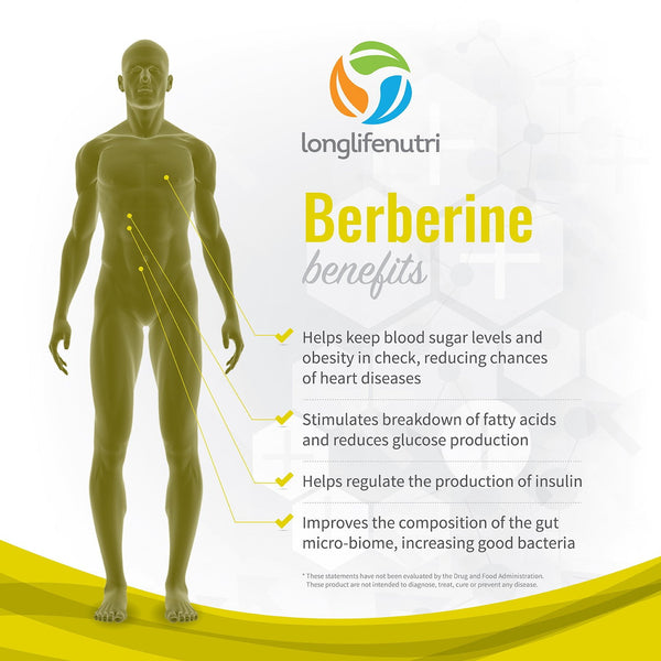 Berberine HCL 500 mg - 180 Vegetarian Capsules - LongLifeNutri