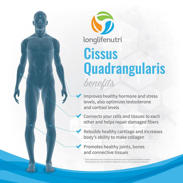 Cissus Quadrangularis 600 mg LongLifeNutri