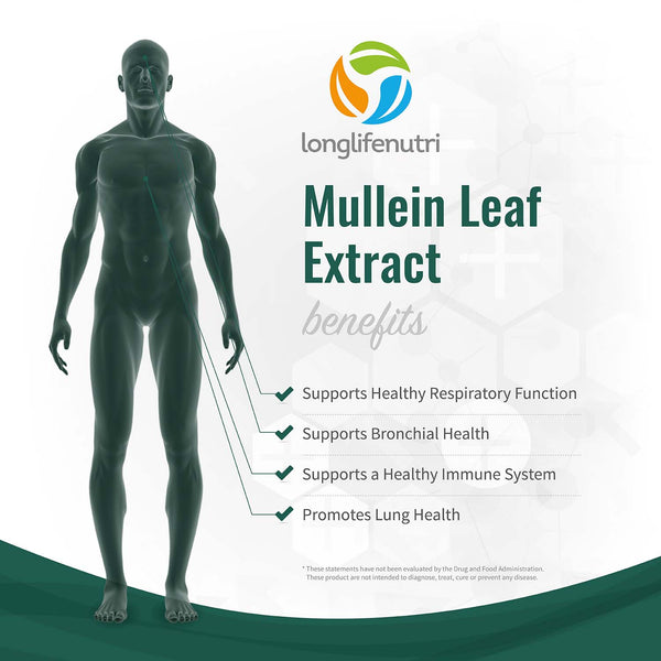 Mullein Leaf 1,500mg - 200 Vegetarian Capsules LongLifeNutri